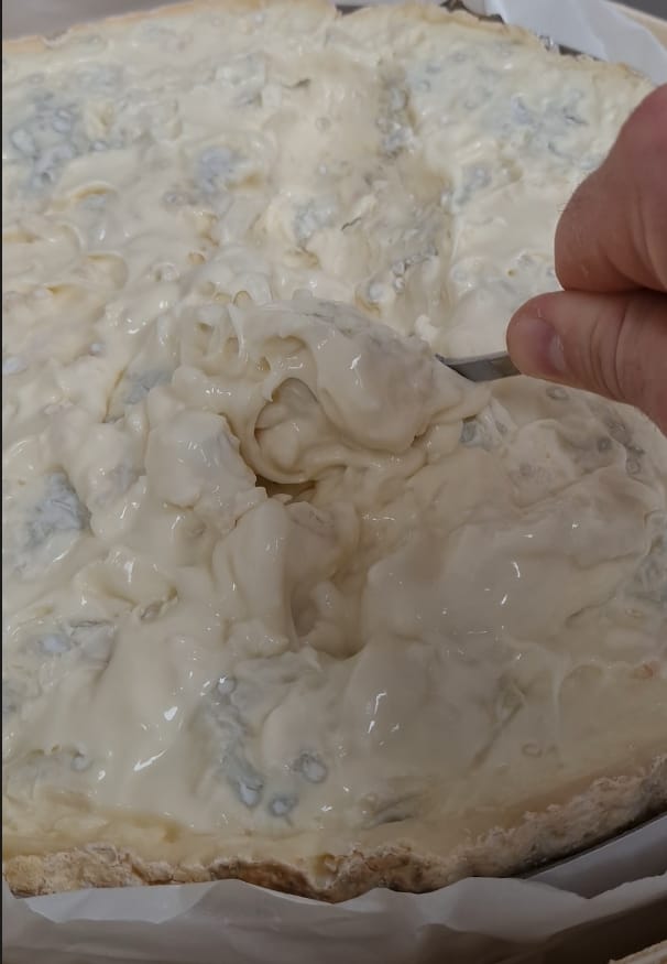GORGONZOLA STRACCHINO