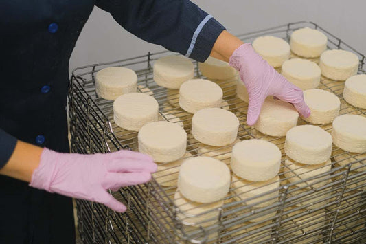 cómo se hace el queso paso a paso Quesomentero