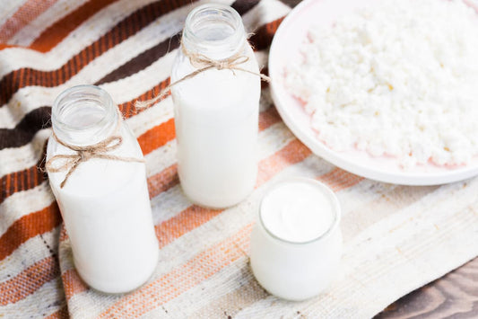 fermentos lácticos qué son y para qué sirven Quesomentero