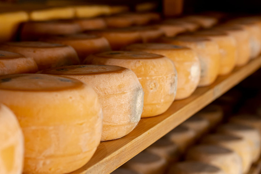 terroir en el queso qué es Quesomentero