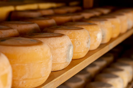 terroir en el queso qué es Quesomentero