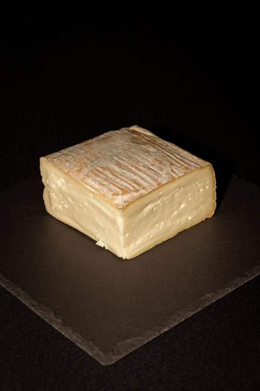 TALEGGIO