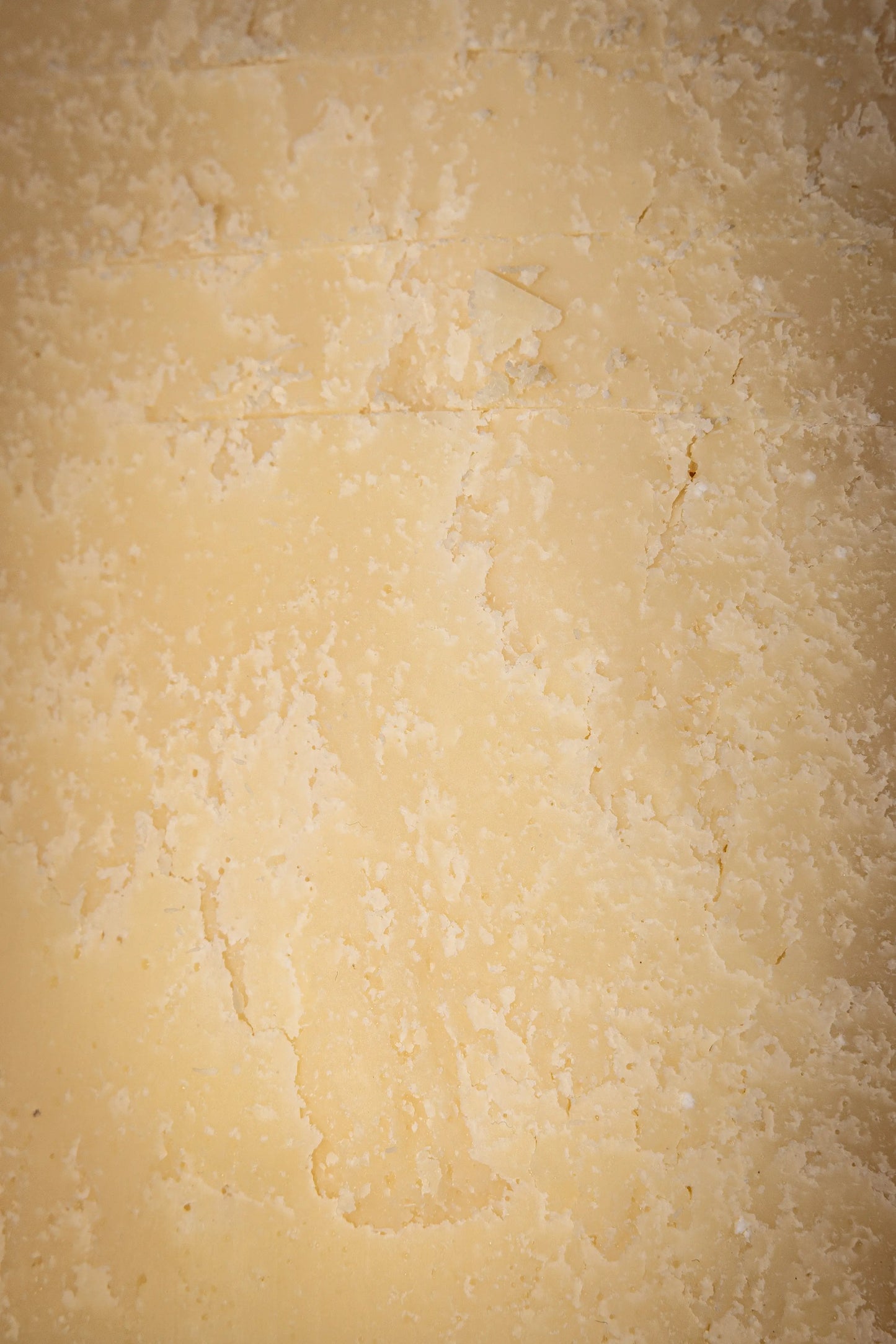 PARMESANO REGGIANO